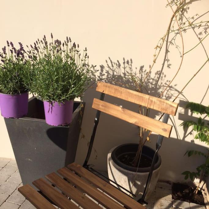 Le Clos De Beauchamp Appartement Le Bord De Mer 2 Velos Sont Disponibles Gratuitement Saint-Valéry-sur-Somme Eksteriør bilde